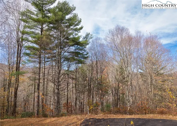 $59,000 | Tbd Lot 19 Tbd Lane, Todd, NC 28684