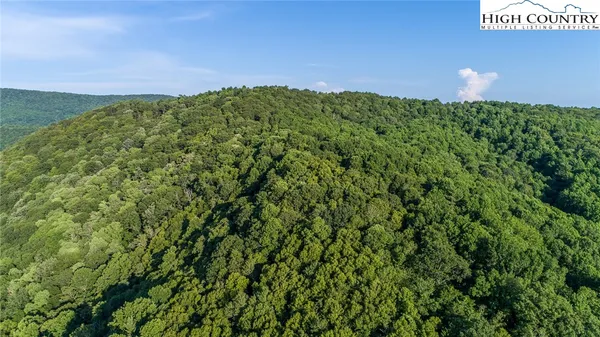 $59,000 | Tbd Lot 19 Tbd Lane, Todd, NC 28684