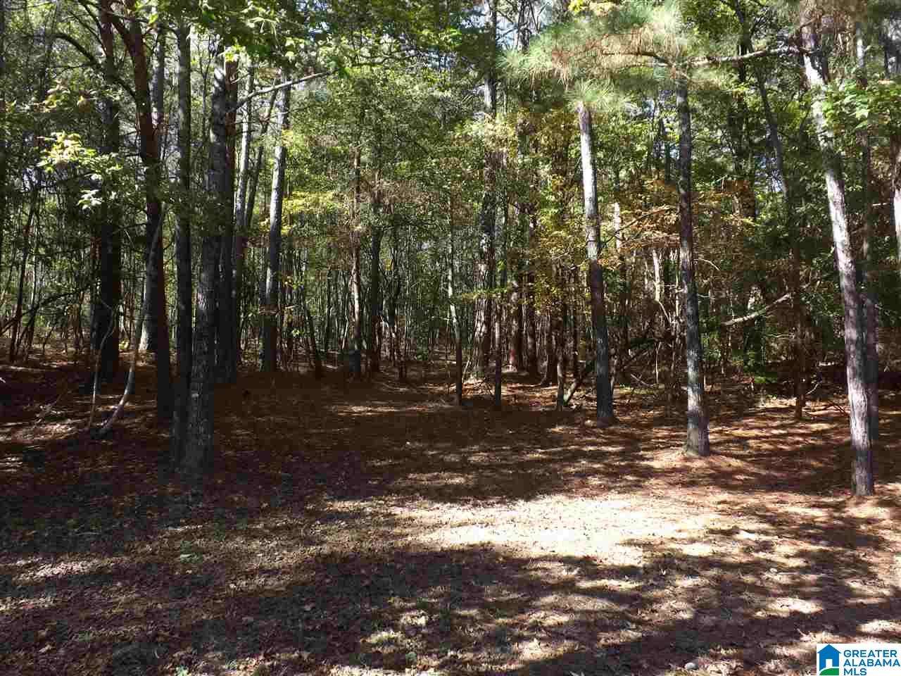 Lake Road, Unit 22 5 McCalla, AL 35111 - Photo 7 of 17