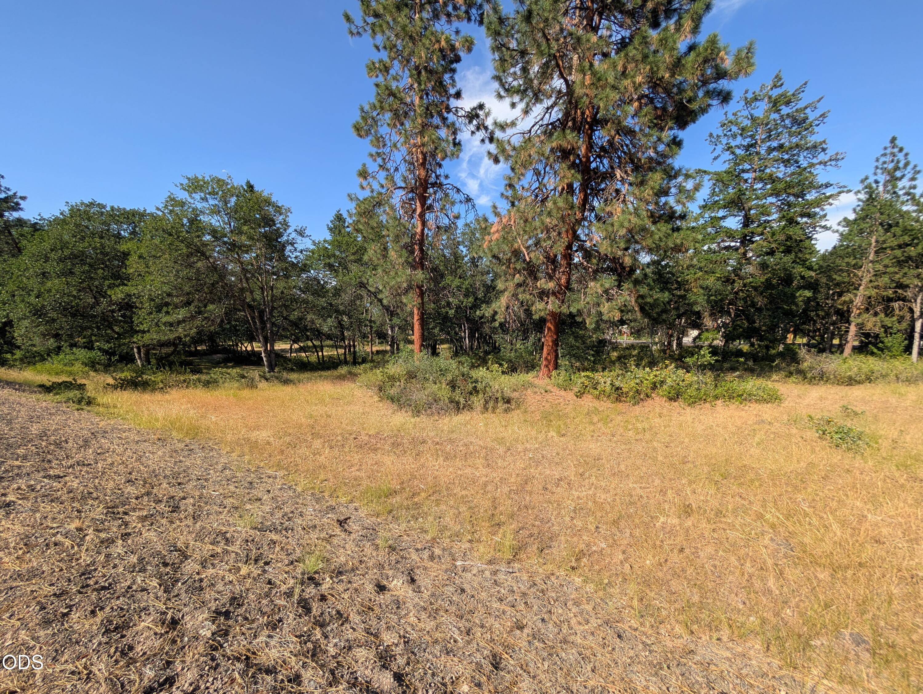 0 Cooper's Hawk Road, Unit 881 Klamath Falls, OR 97601 - Photo 1 of 7