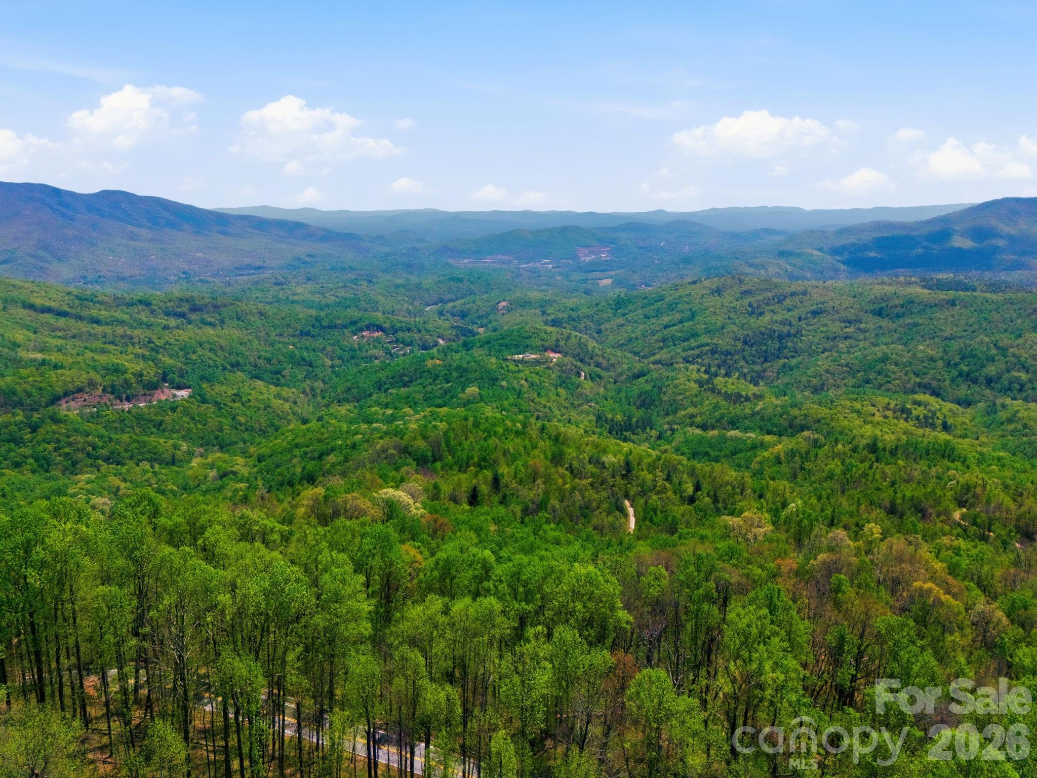 199 Alpine Drive Marion, NC 28752 - Photo 10 of 44