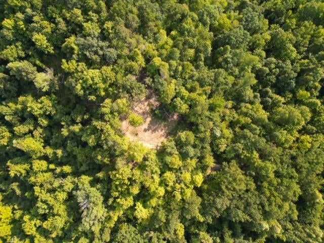 0 Lycans Branch Road Ona, WV 25545 - Photo 5 of 12 Gallery Image 5