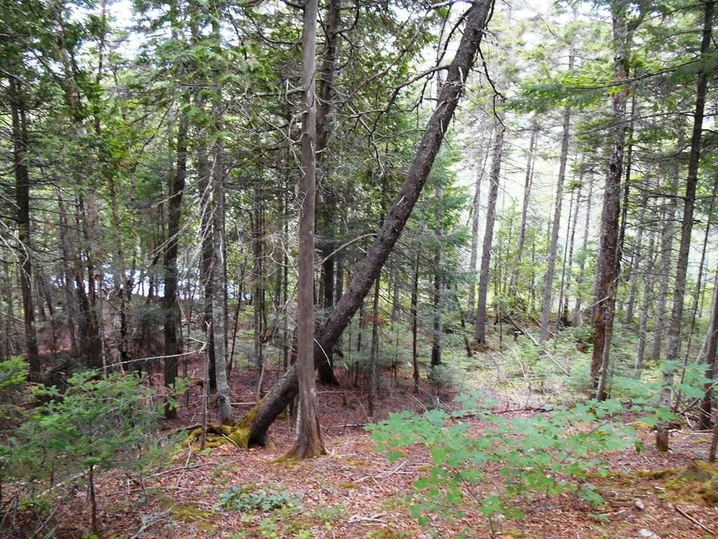 429 Main Street Farmington, ME 04938 - Photo 3 of 20 Photo