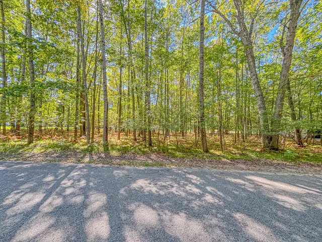 $8,000 | 9861 Sunset Drive, Unit 305, Stanwood, MI 49346