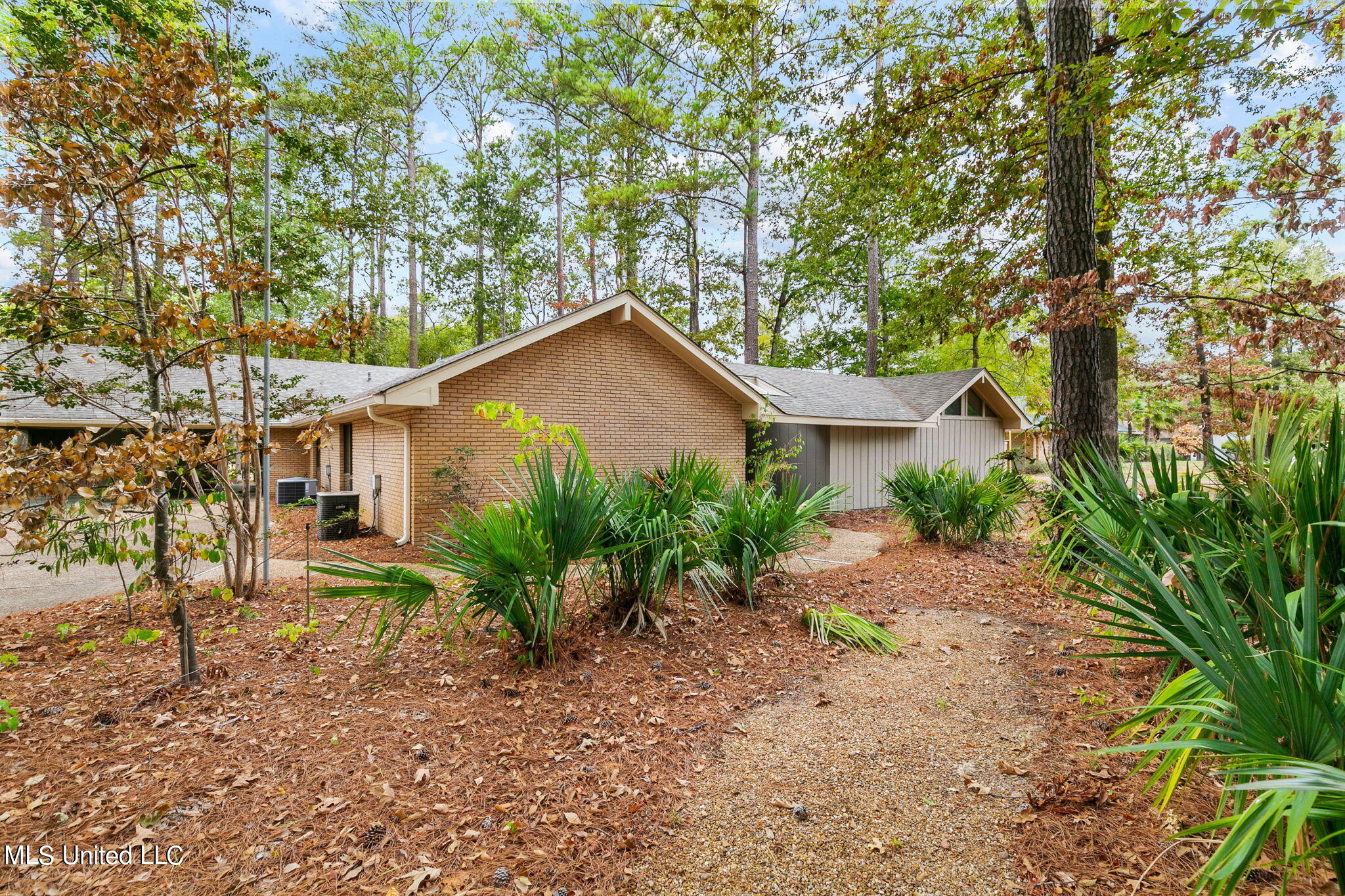 5-web-or-mls-129 Whippoorwill-5