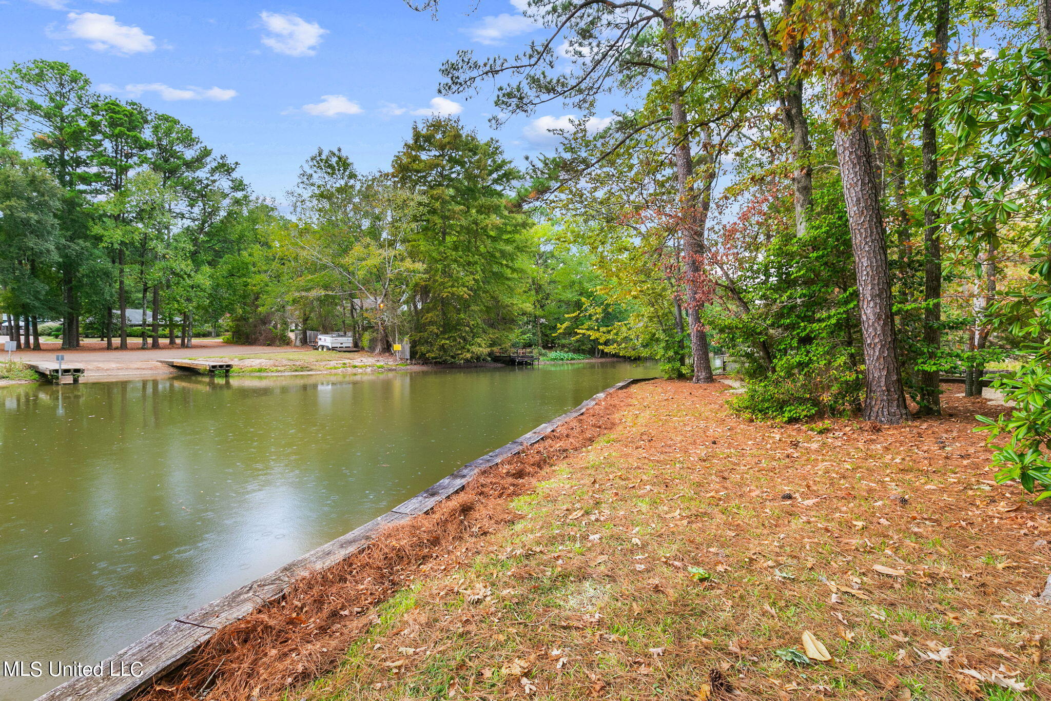 129 Whippoorwill Road Brandon, MS 39047 - Photo 42 of 51 57-web-or-mls-129 Whippoorwill-57