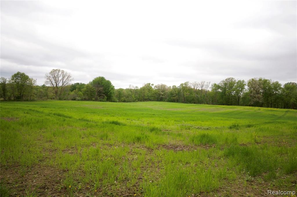 0 Iosco Road Webberville, MI 48836 - Photo 5 of 9