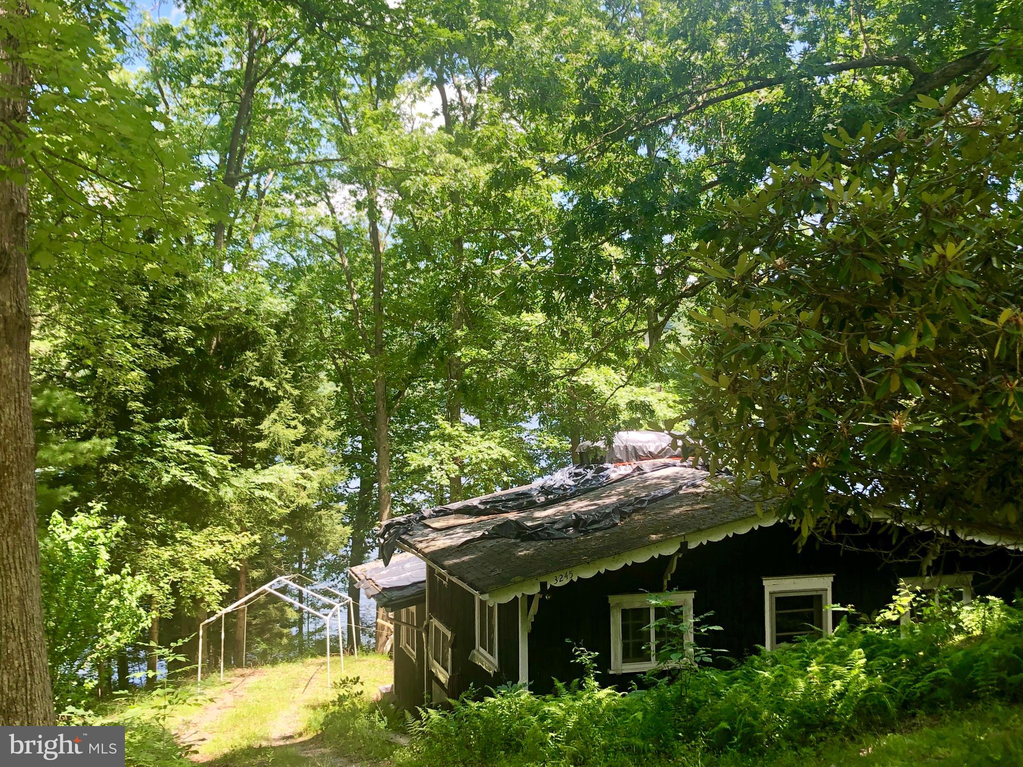3245 Shingle Camp Road McHenry, MD 21541 - Photo 5 of 16 Gallery Image 5