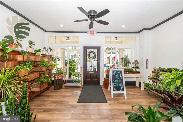 a living room with furniture windows and wooden floor