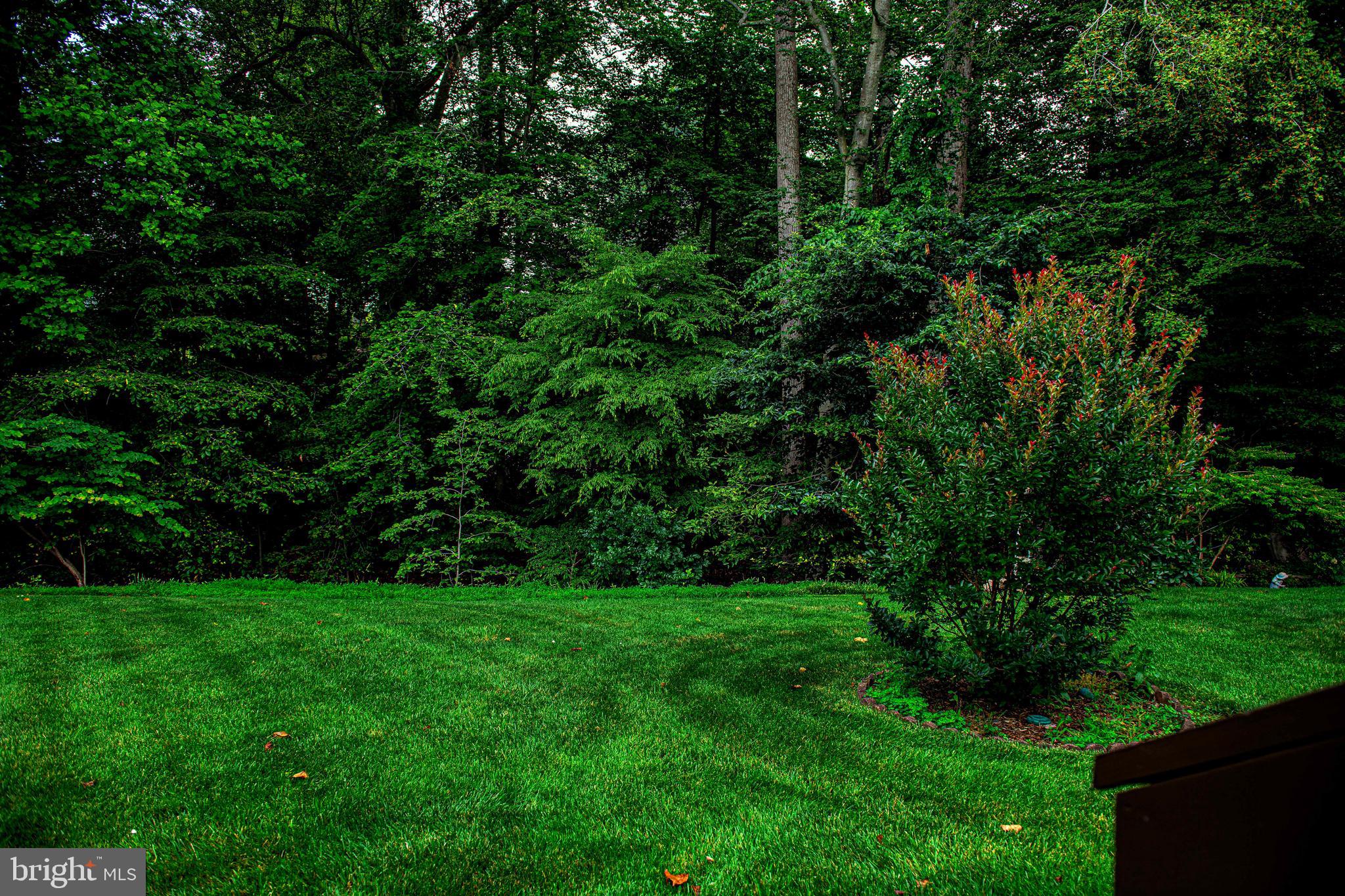 910 Candlelight Court Bel Air, MD 21015 - Photo 24 of 25 Rear yard - maintenance free