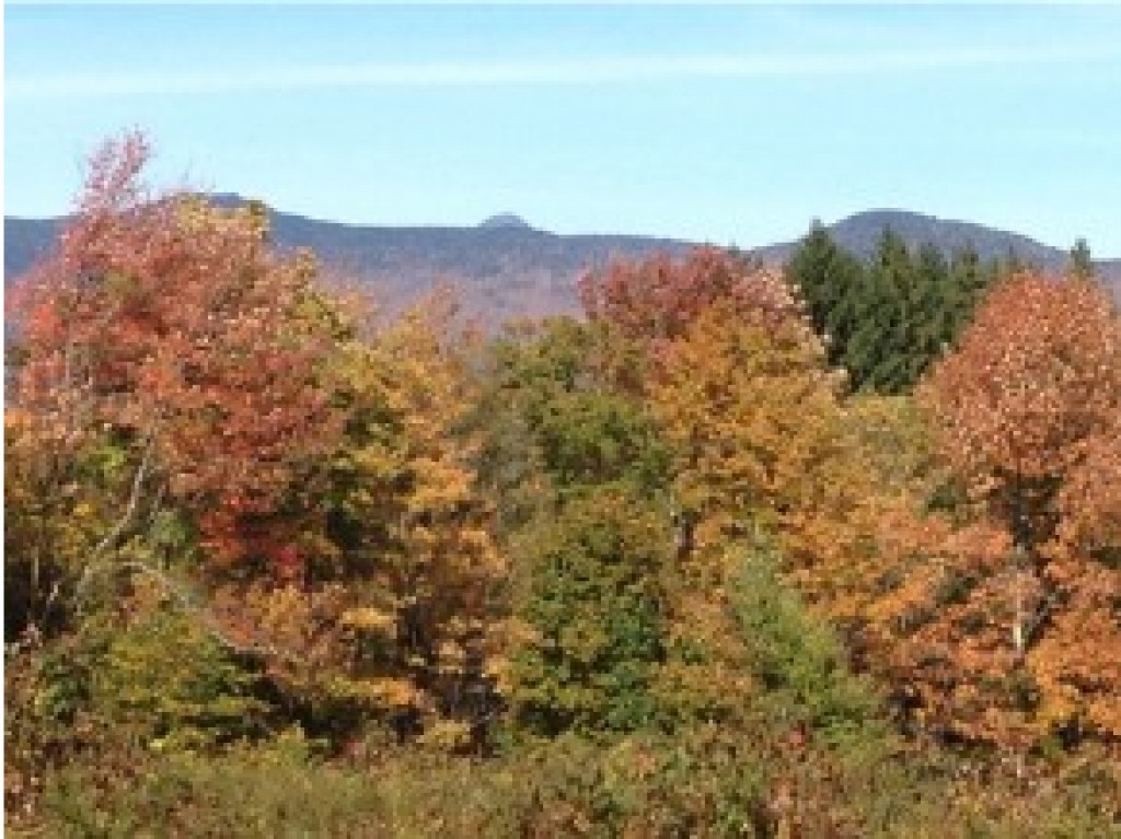 100 Kew Vasseur Road Fayston, VT 05673 - Photo 19 of 19 Gallery Image 19