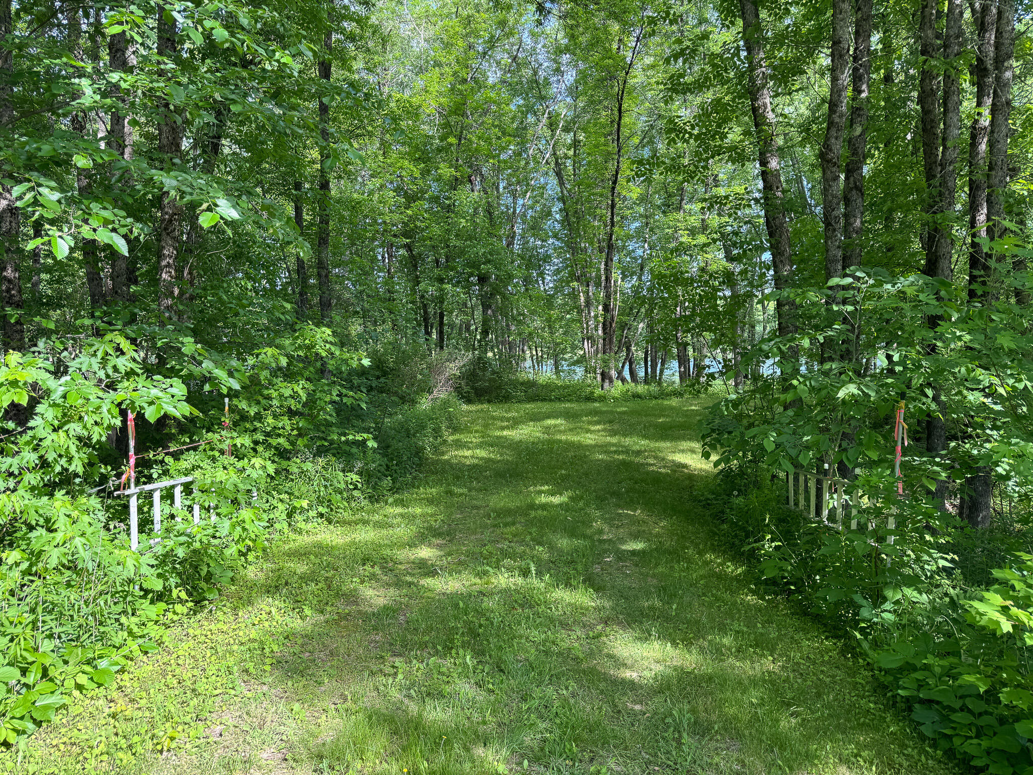Tbd Mohawk Road Lincoln, ME 04457 - Photo 27 of 29 IMG_6013