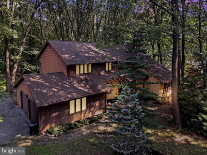 a view of a backyard with a large tree