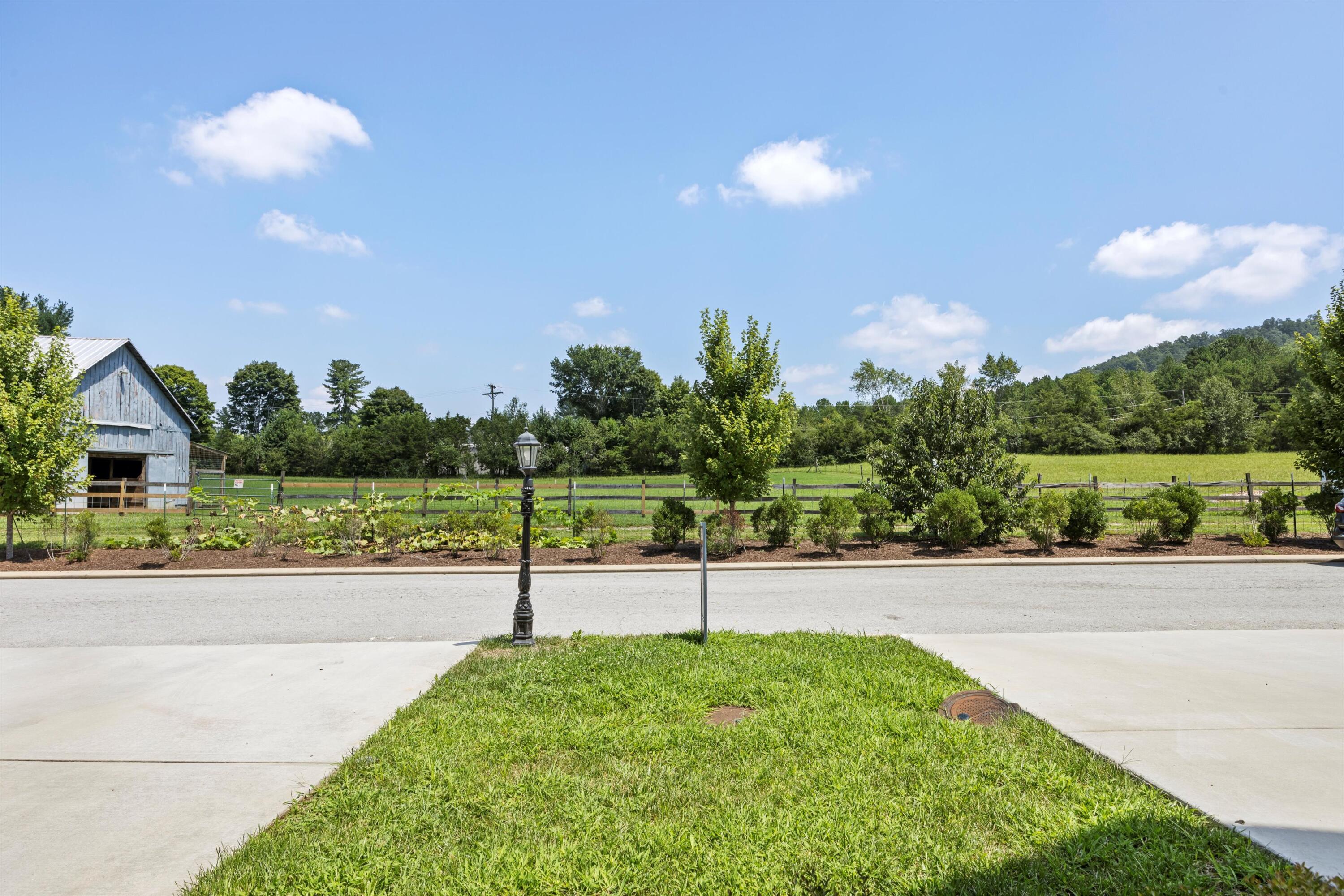 9638 Dutton Lane Ooltewah, TN 37363 - Photo 49 of 49 08-2M6A0293