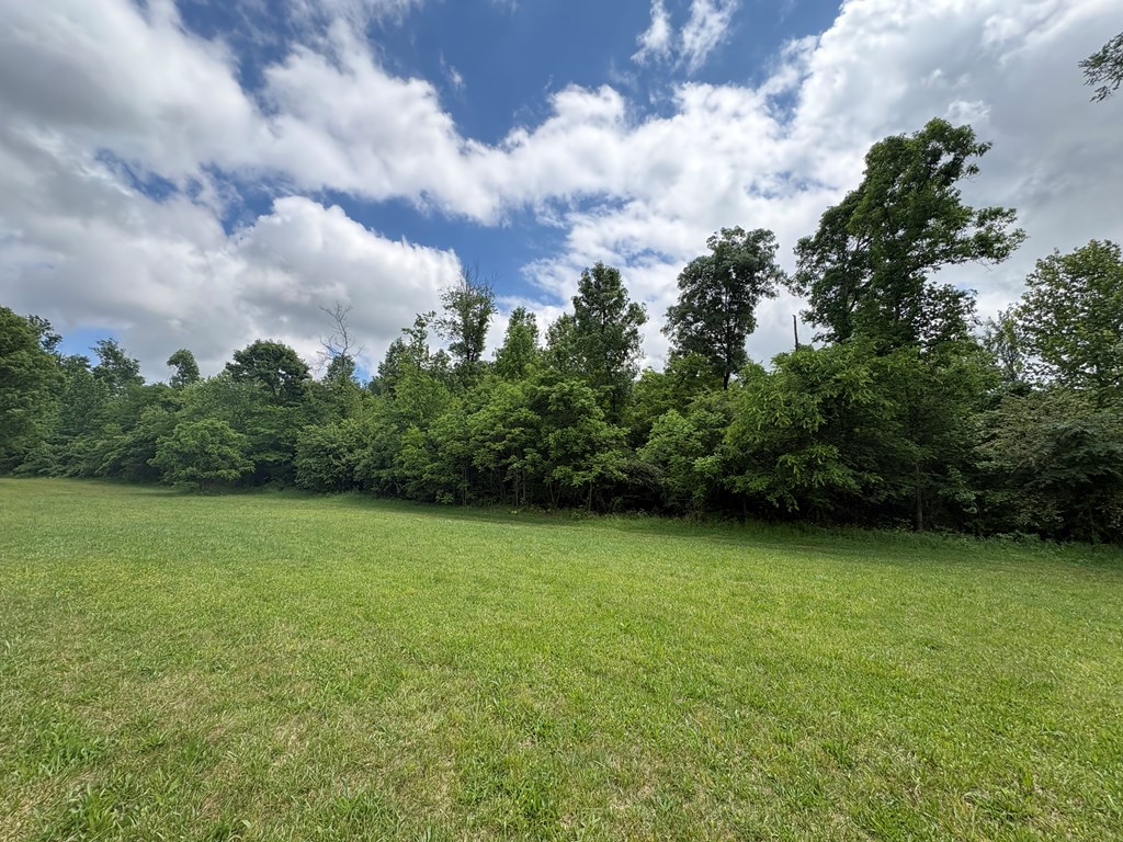 0 East Emerson Road Cohutta, GA 30710 - Photo 3 of 9 Gallery Image 3