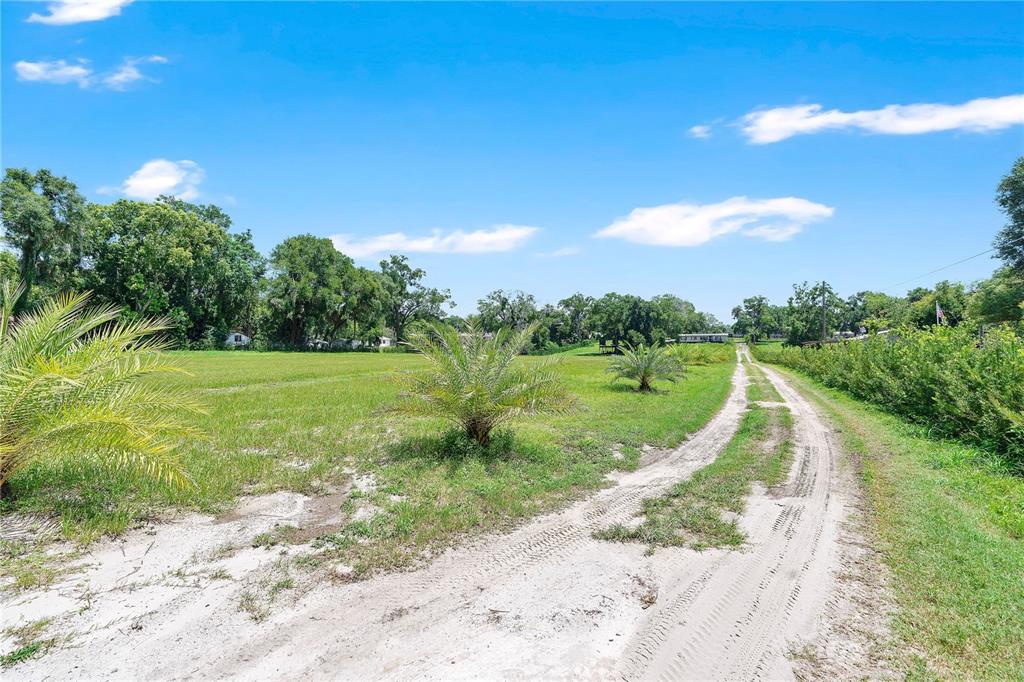 4850 West Ponkan Road Zellwood, FL 32798 - Photo 7 of 35