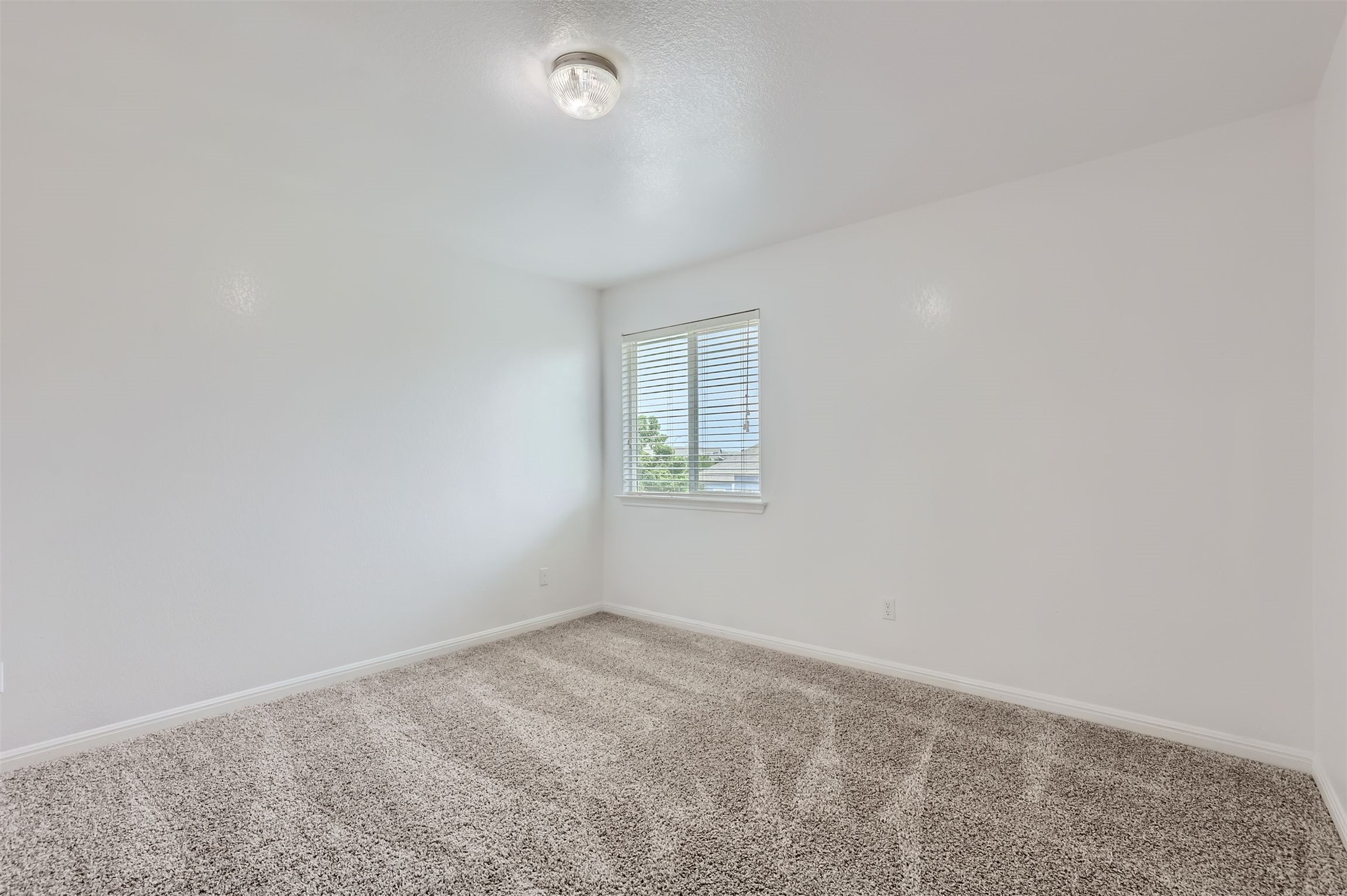 131 Lavaca Loop Hutto, TX 78634 - Photo 19 of 29 A well-lit bedroom featuring a single window for natural illumination and plush carpeting.