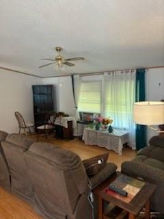 24875 Fayard Road Springfield, LA 70462 - Photo 2 of 38