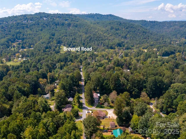 an aerial view of green landscape with trees houses and mountain view