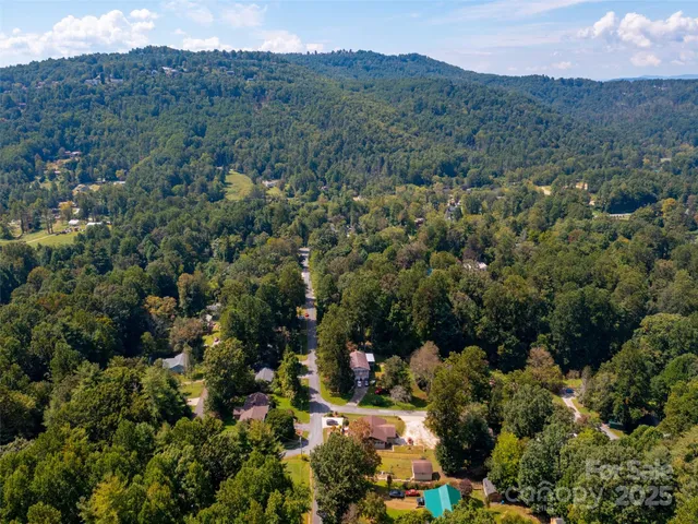 an aerial view of green landscape with trees houses and mountain view