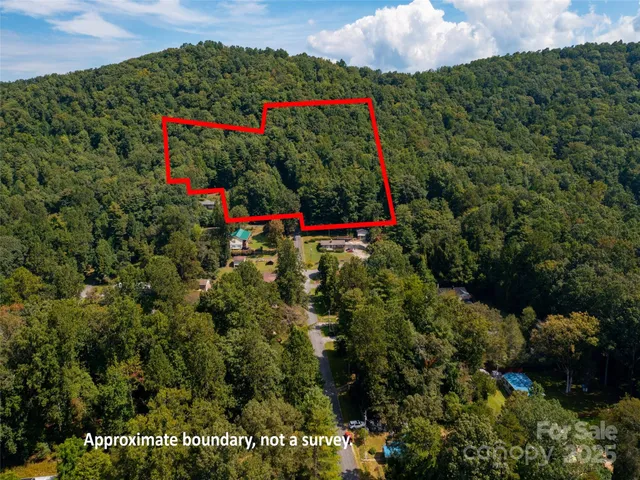 a view of a flower garden