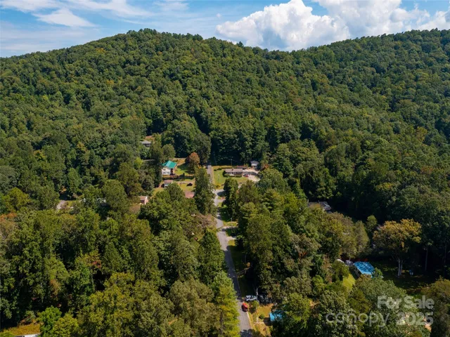 a view of a green yard with large trees
