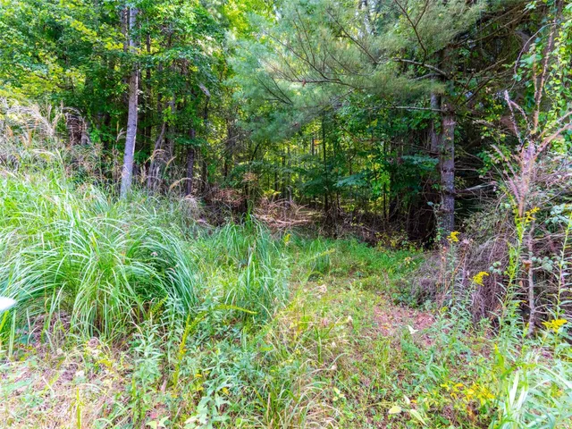 a backyard of a house with lots of green space and trees all around