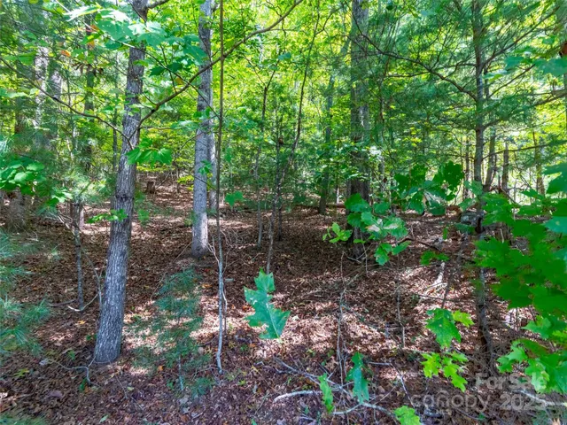 a backyard of a house with lots of trees