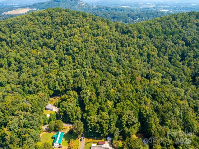 a view of a large yard with lots of plants