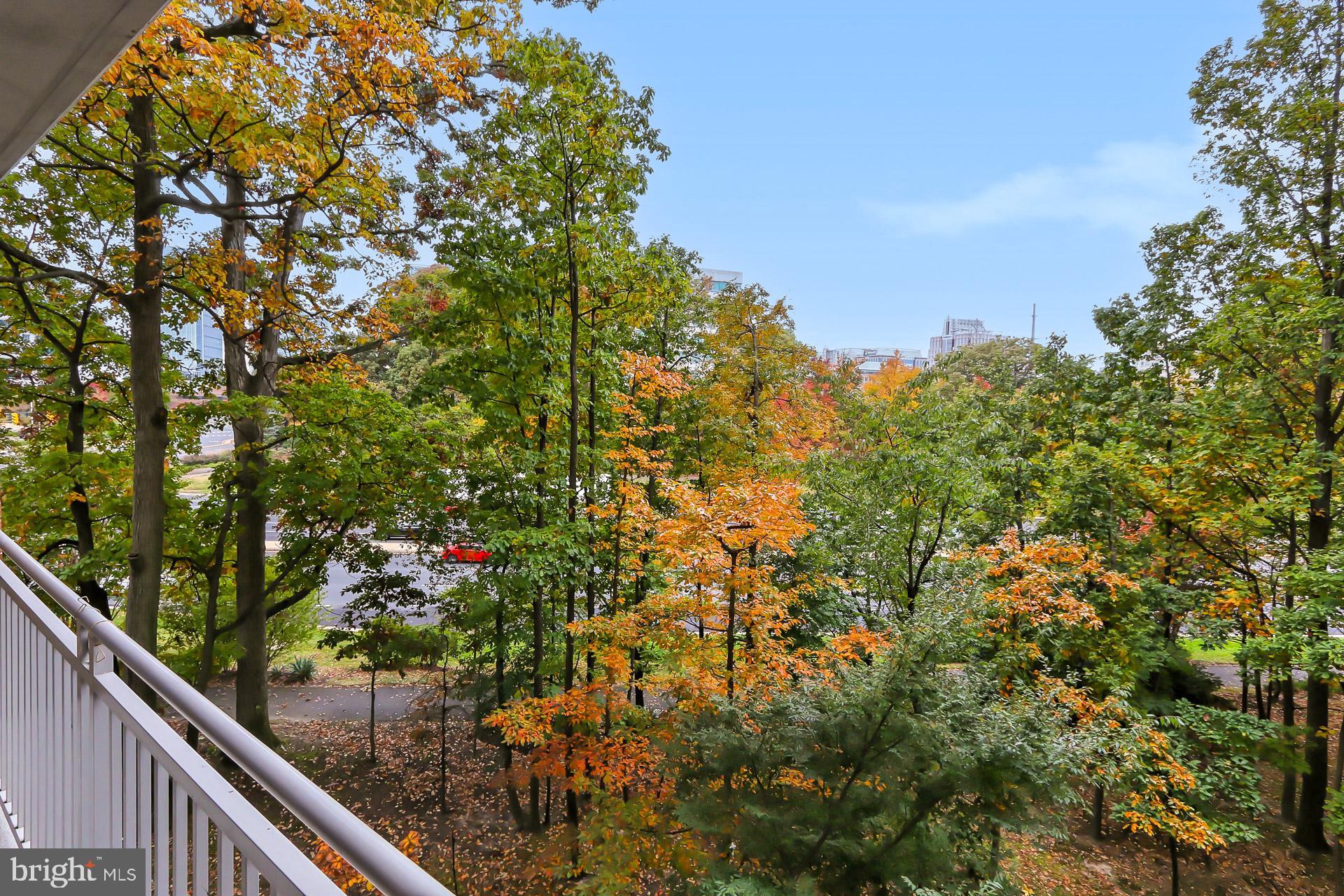 11800 Sunset Hills Road, Unit 513 Reston, VA 20190 - Photo 34 of 43 Treelined view from balcony