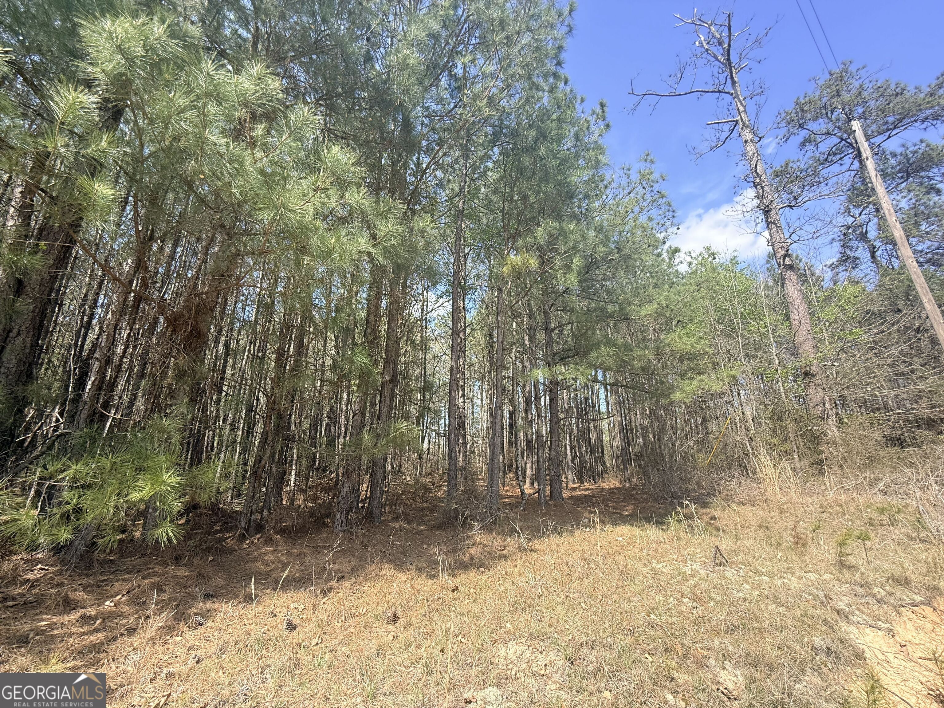 15 Hollis Norman Road Tignall, GA 30668 - Photo 13 of 23