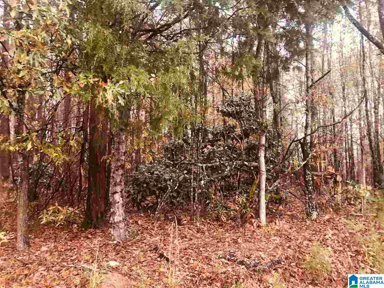 0 Kirby Road, Unit 2 2 Oxford, AL 36203 - Photo 8 of 8