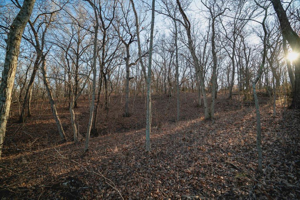 862 East 900th Road Lawrence, KS 66047 - Photo 67 of 96