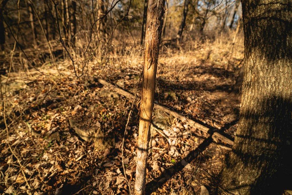 862 East 900th Road Lawrence, KS 66047 - Photo 78 of 96