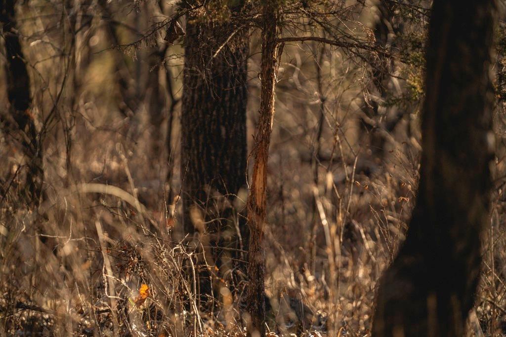 862 East 900th Road Lawrence, KS 66047 - Photo 80 of 96