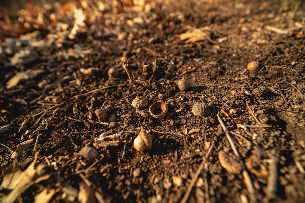 862 East 900th Road Lawrence, KS 66047 - Photo 81 of 96