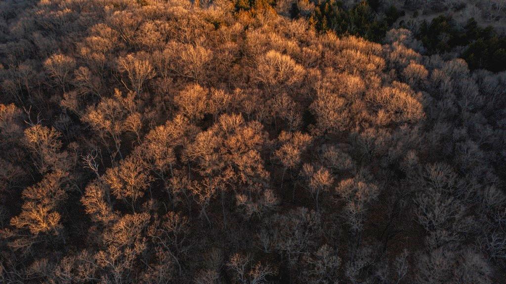 862 East 900th Road Lawrence, KS 66047 - Photo 87 of 96