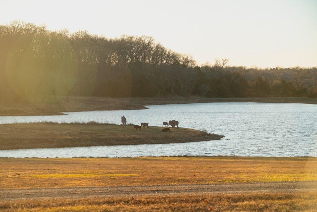 862 East 900th Road Lawrence, KS 66047 - Photo 92 of 96