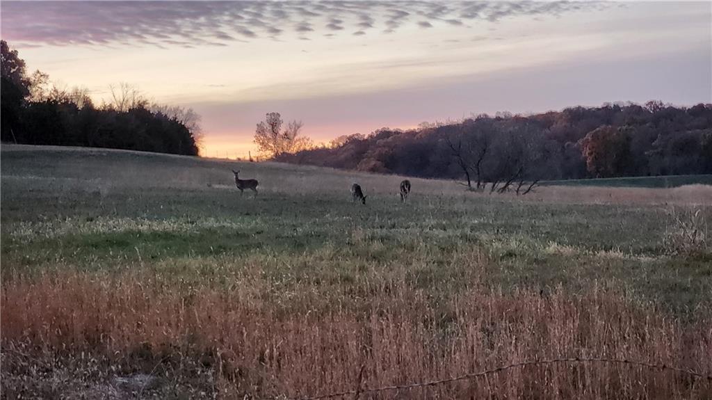 862 East 900th Road Lawrence, KS 66047 - Photo 94 of 96