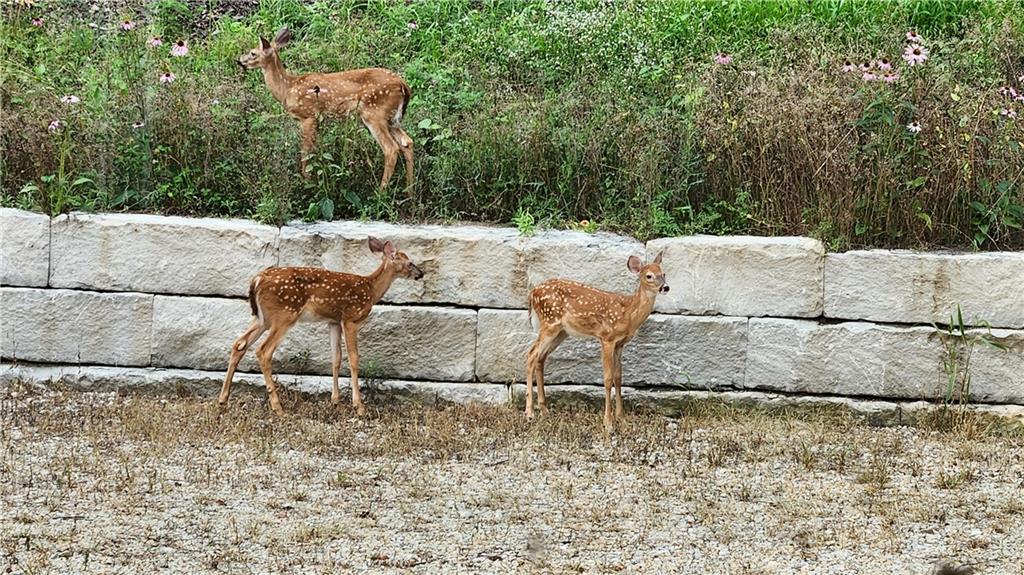 862 East 900th Road Lawrence, KS 66047 - Photo 95 of 96