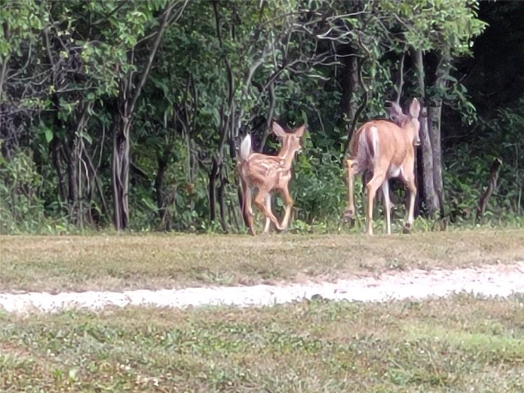 862 East 900th Road Lawrence, KS 66047 - Photo 96 of 96