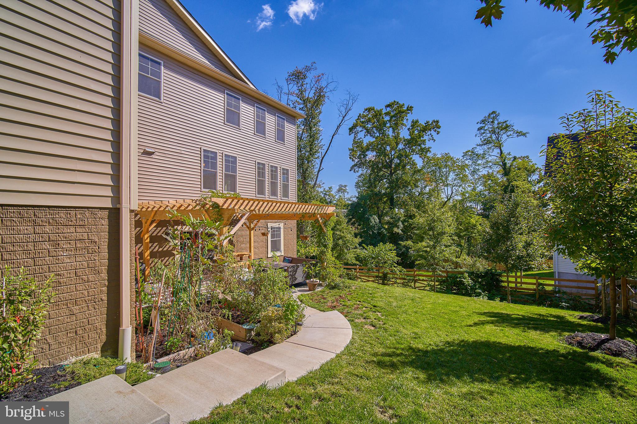 3117 Spring Drive Alexandria, VA 22306 - Photo 45 of 48 Side walk to rear - blueberry & raspberry bushes