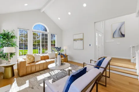 a living room with furniture and a potted plant
