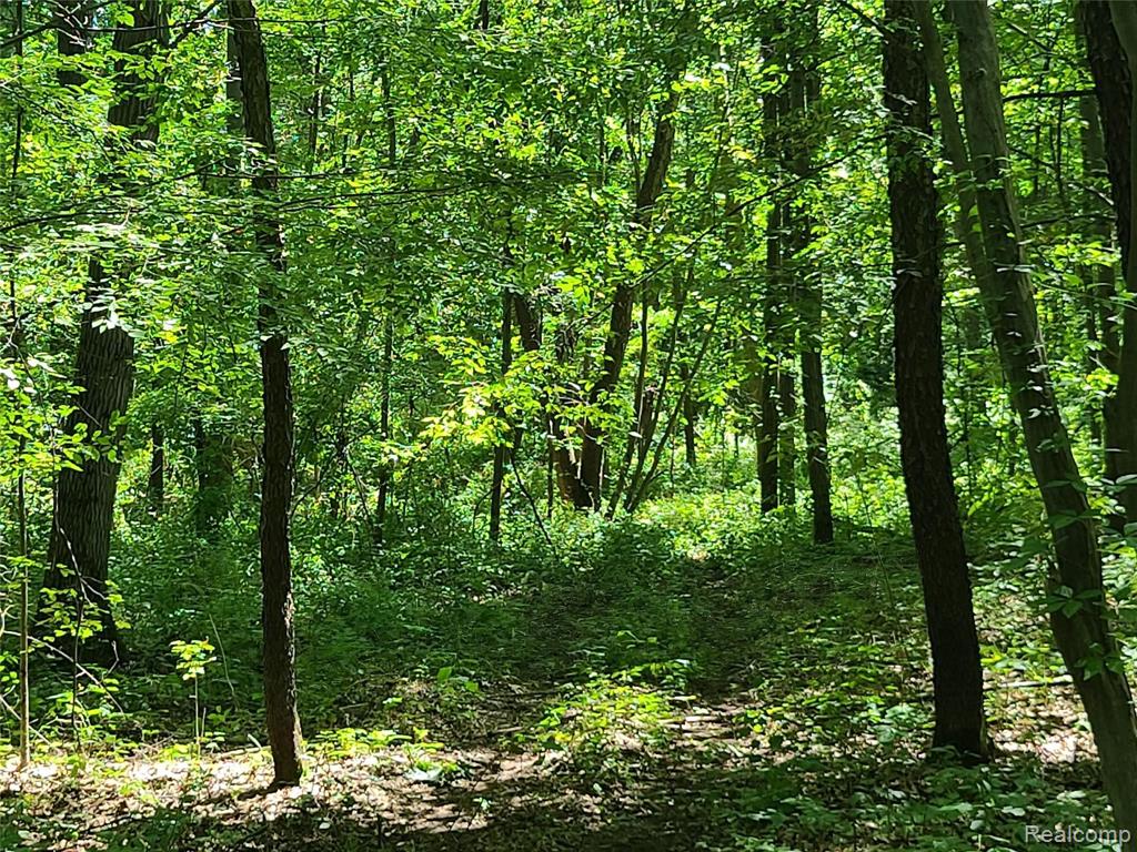 0 East Gunn Road Rochester, MI 48306 - Photo 20 of 24