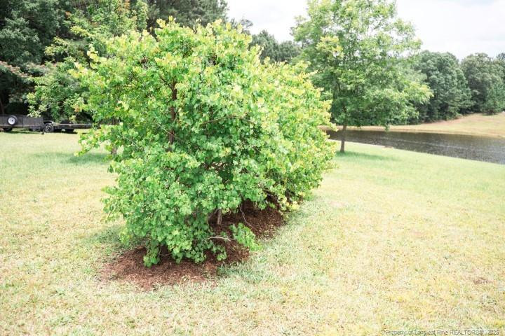 2847 Pickard Road Sanford, NC 27330 - Photo 37 of 46 Photo 38