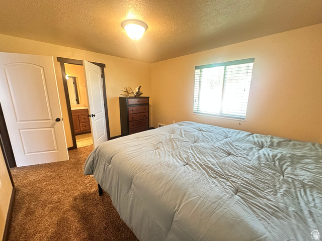 12 Crook Street Fish Haven, ID 83287 - Photo 29 of 35 Carpeted bedroom with a textured ceiling and connected bathroom