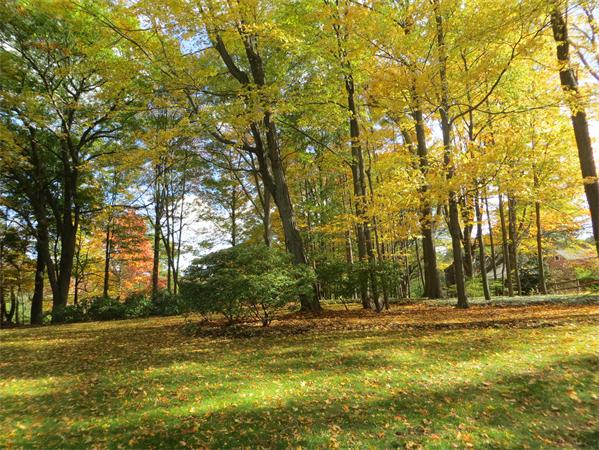151 Edgell Road Framingham, MA 01701 - Photo 25 of 27 a view of a yard with trees