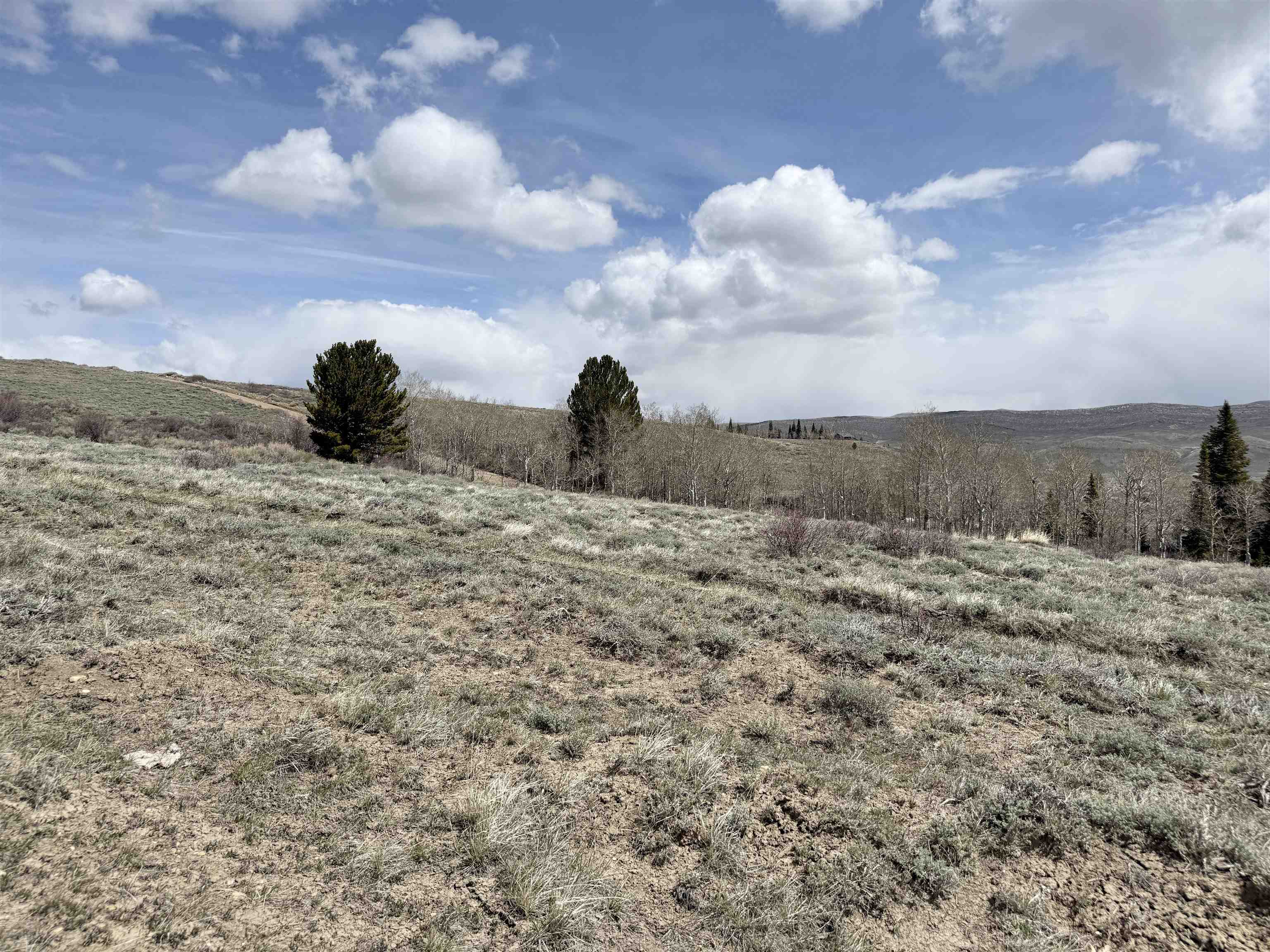 Comm Unit A Comm Kemmerer, WY 83101 - Photo 3 of 12