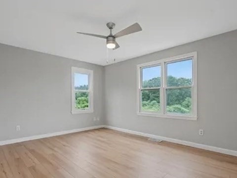 5 Meadowsweet Road Shrewsbury, MA 01545 - Photo 5 of 9
