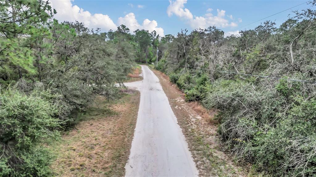 Thacker Trail Kissimmee, FL 34747 - Photo 6 of 11 a view of a pathway with a wrought fence